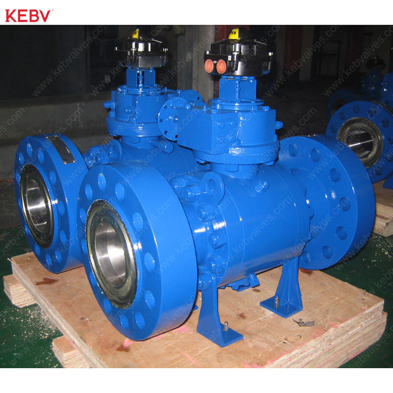 /img/forged_steel_trunnion_mounted_ball_valve-97.jpg